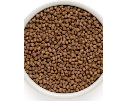 Duck & Brown Rice Indoor утка с бурым рисом для кошек от 1 года с нормальной активностью