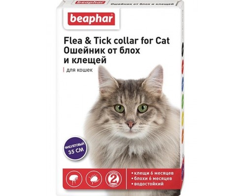 Ошейник от блох и клещей для кошек фиолетовый
