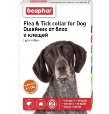 Flea & Tick collar for Dog ошейник от блох и клещей для собак оранжевый