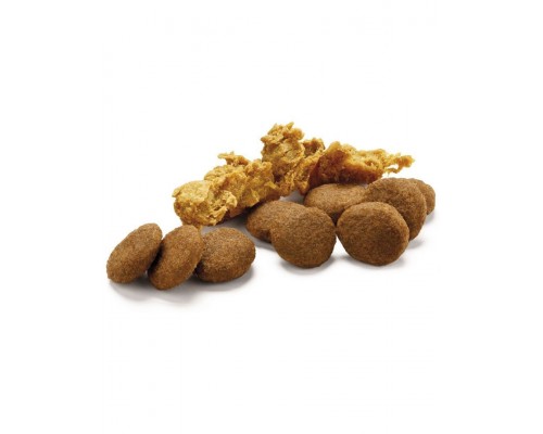 Duo Delice Small & Mini говядина с рисом корм для взрослых собак мелких и карликовых пород