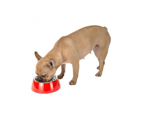 JOLIE Миска металлическая на пластиковой подставке 0,5 л