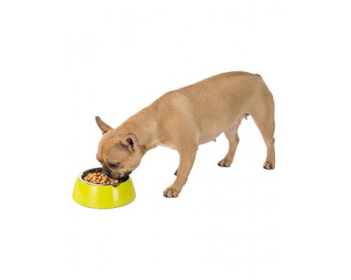 JOLIE Миска металлическая на пластиковой подставке 0,5 л