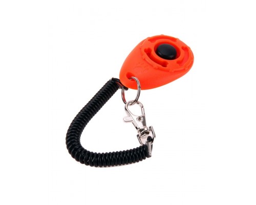 Кликер на браслете с карабином