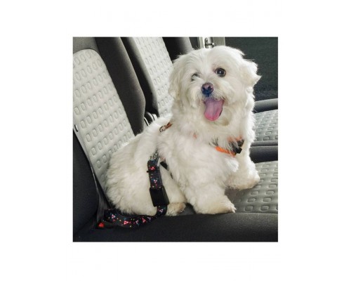 Ремень безопасности в автомобиль Dog Safety Belt