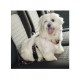 Ремень безопасности в автомобиль Dog Safety Belt