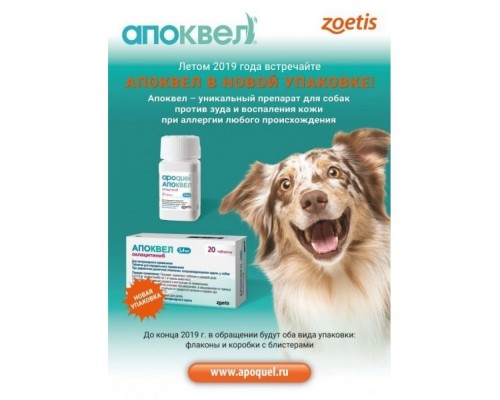 Апоквел препарат применяемый  при дерматитах различной этиологии, сопровождающихся зудом, у собак Zoetis
