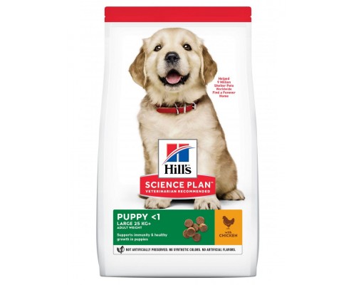 Science Plan для щенков крупных пород с курицей