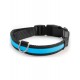 Ошейник светодиодный NIGHT CITY синий