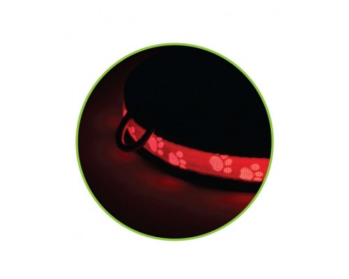 Ошейник светодиодный NIGHT CITY "ЛАПКИ"