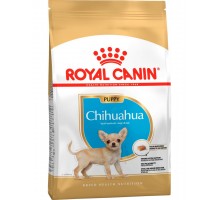 Chihuahua Puppy для щенков породы чихуахуа в возрасте до 8 месяцев