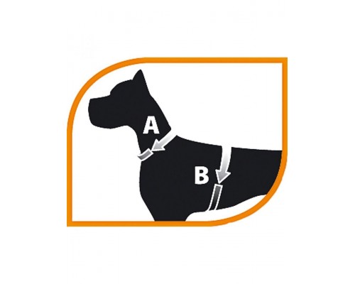 Шлейка Nikita P (линейка PUPPY)