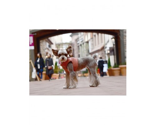 Шлейка  CLASSY  персиковая