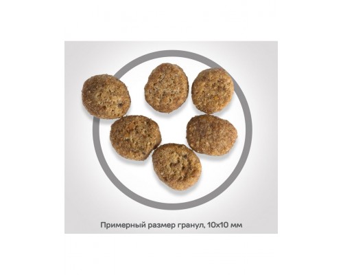 Science Plan для котят, курица