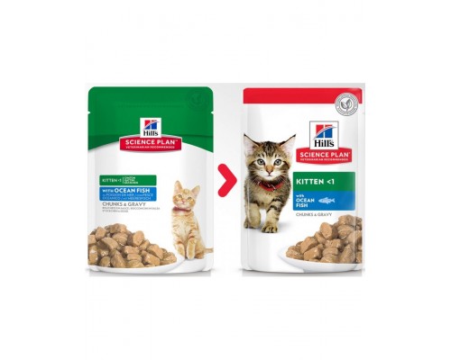 Science Plan для котят, с океанической рыбой