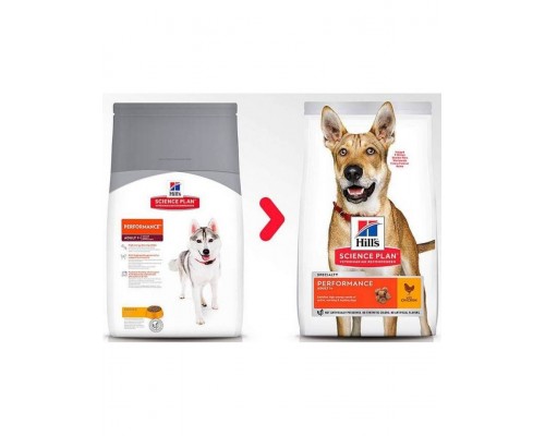 Science Plan Performance для активных собак, курица