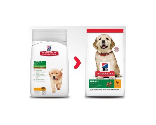 Science Plan для щенков крупных пород с курицей