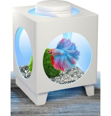 Аквариум-проектор  "Betta Projector"