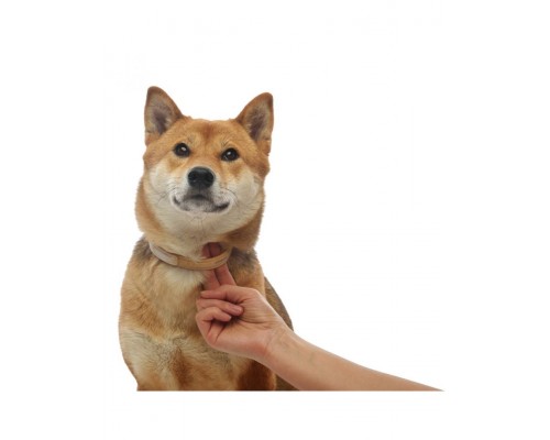 Ошейник Килтикс® от клещей и блох для собак средних пород