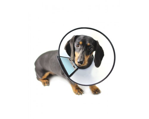 Защитный воротник