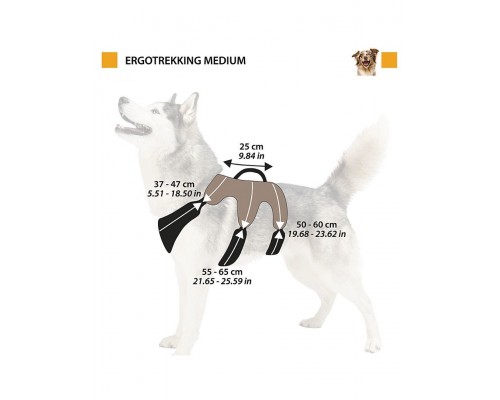 Шлейка Ergotrekking P для собак
