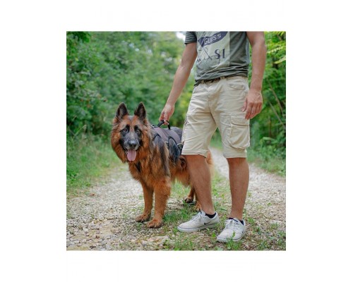 Шлейка Ergotrekking P для собак