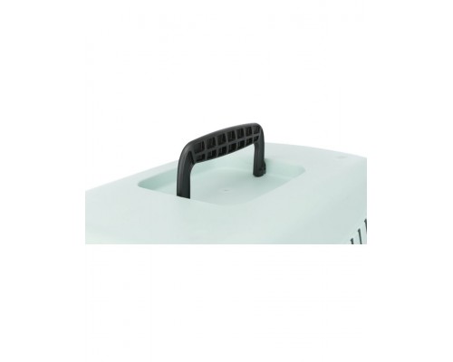 Бокс транспортный Junior XS (светло-серый/мятный)