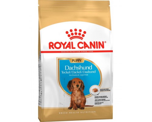 Dachshund Puppy для щенков породы такса в возрасте до 10 месяцев
