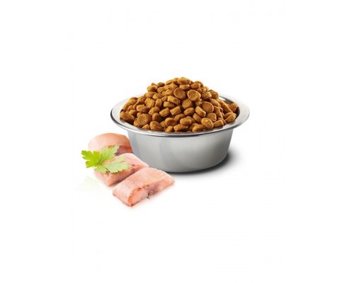 N&D OCEAN Herring & Orange Adult Medium & Maxi беззерновой корм для собак средних и крупных пород с сельдью и апельсином