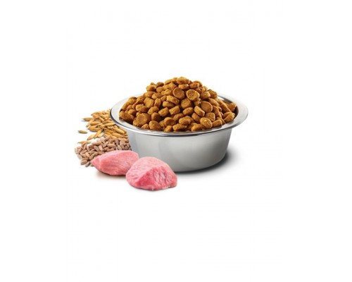 N&D ANCESTRAL GRAIN Lamb & Blueberry Adult medium & maxi низкозерновой корм для собак средних и крупных пород,  со спельтой, овсом, ягненком и черникой