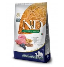 N&D ANCESTRAL GRAIN Lamb & Blueberry Adult medium & maxi низкозерновой корм для собак средних и крупных пород,  со спельтой, овсом, ягненком и черникой