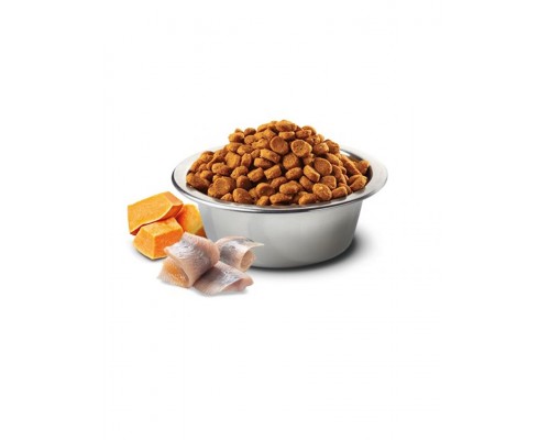 N&D OCEAN Cod, Pumpkin & Orange Adult Medium & Maxi беззерновой корм для собак средних и крупных пород треска, апельсин, тыква