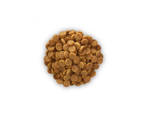 PRESCRIPTION DIET k/d + Mobility лечение заболеваний почек + суставы