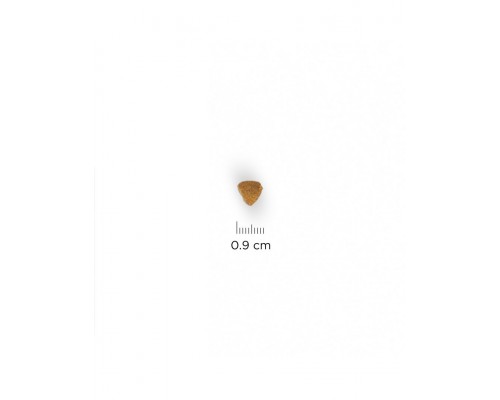 Science Plan для котят, с тунцом