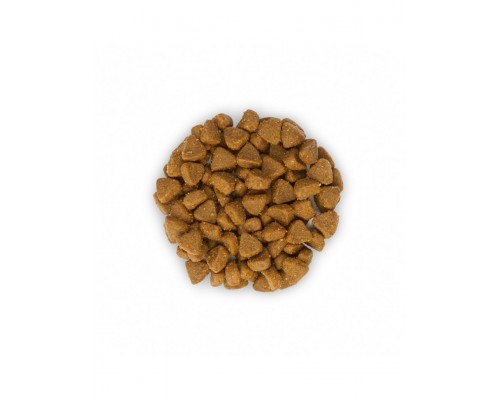 Science Plan для котят, с тунцом