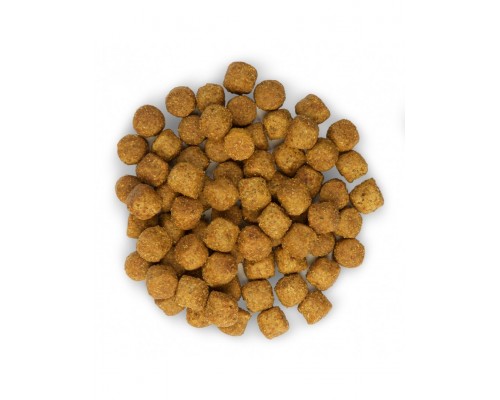 Science Plan для собак средних пород старшего возраста с ягненком и рисом