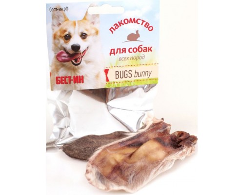 BUGS bunny (уши кролика)