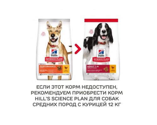 Science Plan Performance для активных собак, курица