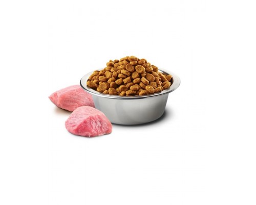 N&D PRIME Boar & Apple Adult Medium & Maxi беззерновой корм для собак средних и крупных пород, кабан с яблоком