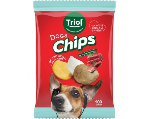 Лакомство для собак FUN FOOD Чипсы со вкусом говядины