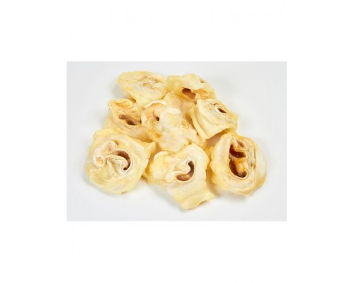 Ракушки свиные