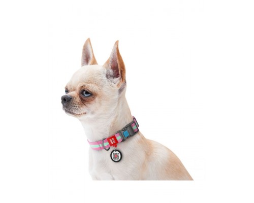 Ошейник WAUDOG Nylon с QR паспортом, светонакопительный (светится в темноте), пластиковая пряжка-фастекс, розовый