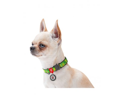 Ошейник WAUDOG Nylon c QR паспортом, рисунок "Авокадо", металлическая пряжка-фастекс с площадкой для гравировки