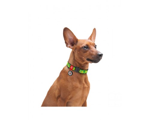 Ошейник WAUDOG Nylon c QR паспортом, рисунок "Авокадо", металлическая пряжка-фастекс с площадкой для гравировки