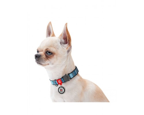 Ошейник WAUDOG Nylon c QR паспортом, рисунок "Этно синий", металлическая пряжка-фастекс с площадкой для гравировки