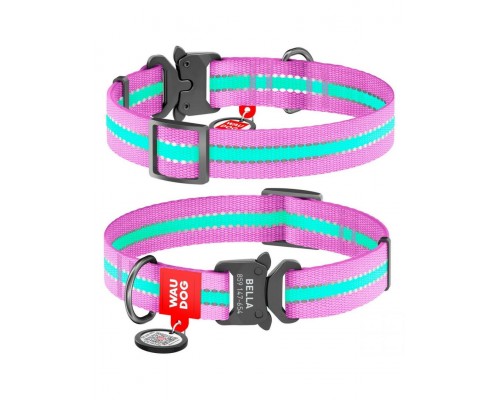 Ошейник WAUDOG Nylon с QR паспортом, светонакопительный (светится в темноте), металлическая пряжка-фастекс, фиолетовый