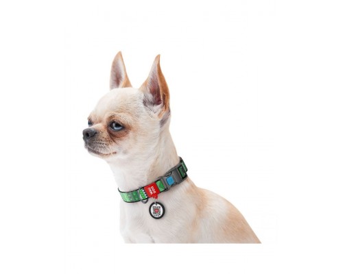 Ошейник WAUDOG Nylon c QR паспортом, рисунок "Этно зеленый", пластиковый фастекс