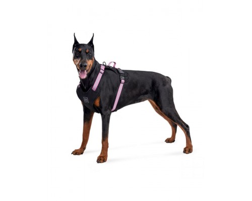 Шлея WAUDOG Nylon с QR паспортом, безопасная, металлическая пряжка-фастекс, розовая