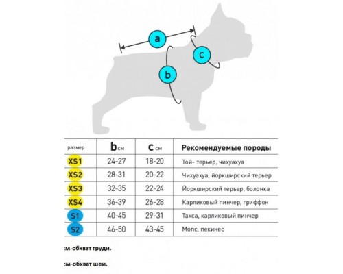 Шлея WAUDOG c QR паспортом, рисунок "Лето"