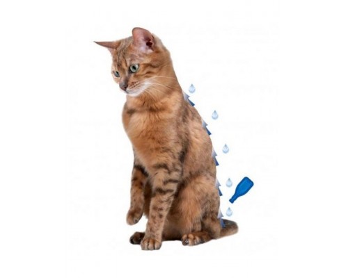 Капли IMMO Shield Line-on от паразитов для кошек