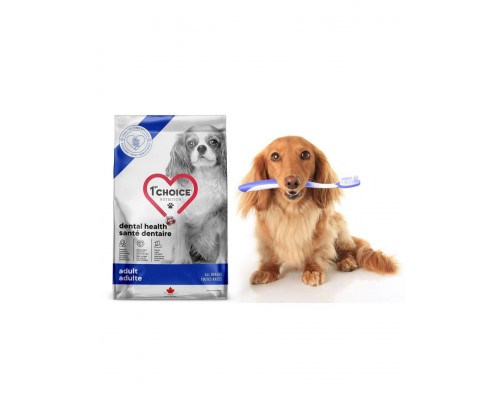 Dental Health корм Здоровье зубов для собак всех пород, курица